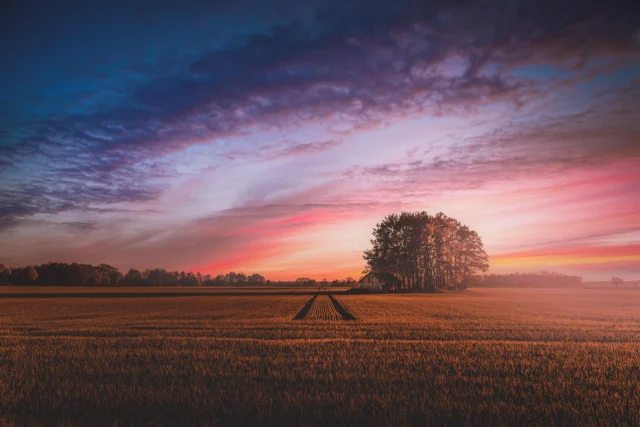 Countryside at sunset